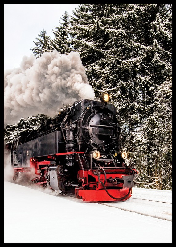 Winter Train-2