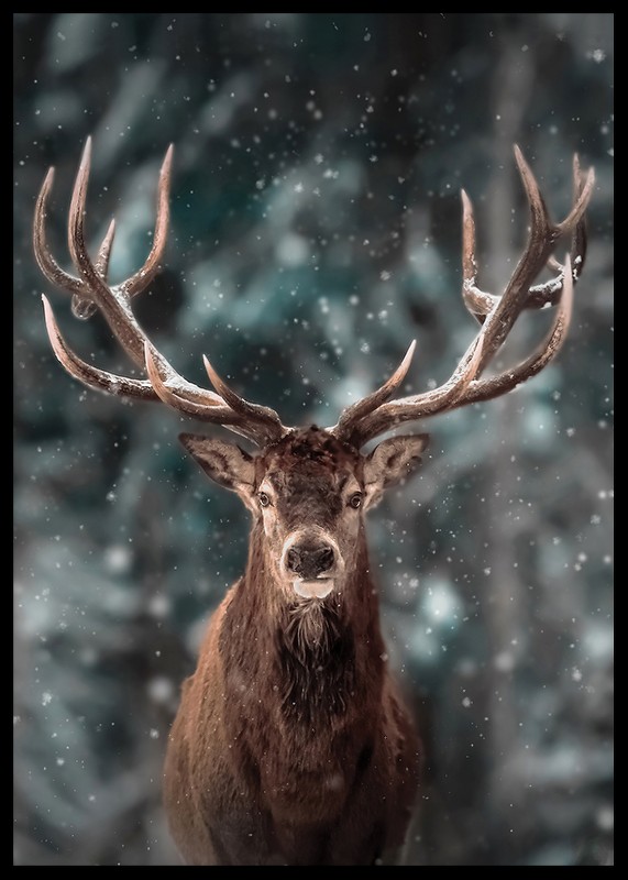 Majestic Deer-2