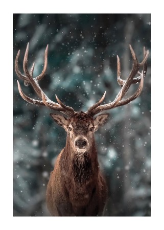 Poster Majestic Deer