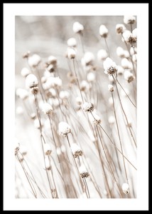 Snow Covered Dried Flowers-0