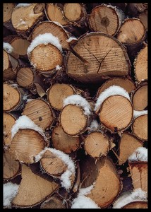 Wooden Logs-2