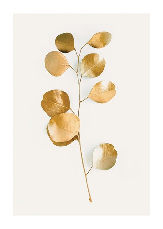 Poster Eucalyptus Gold No3