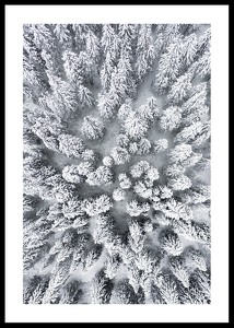 Snow Forest Aerial-0