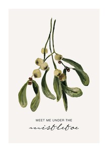 Poster Under The Mistletoe