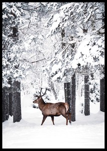 Deer In Snow-2
