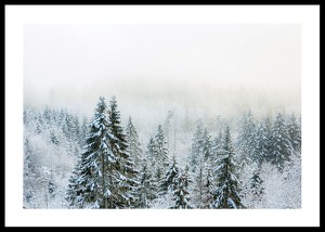 Snow Covered Forest-0