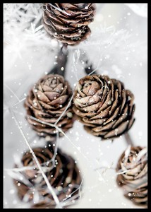 Winter Pine Cones-2