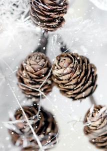 Winter Pine Cones-3