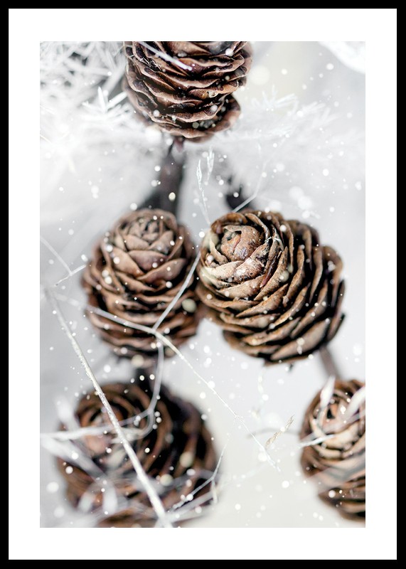 Winter Pine Cones-0