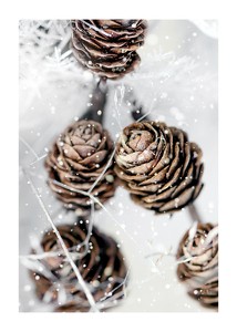 Winter Pine Cones-1