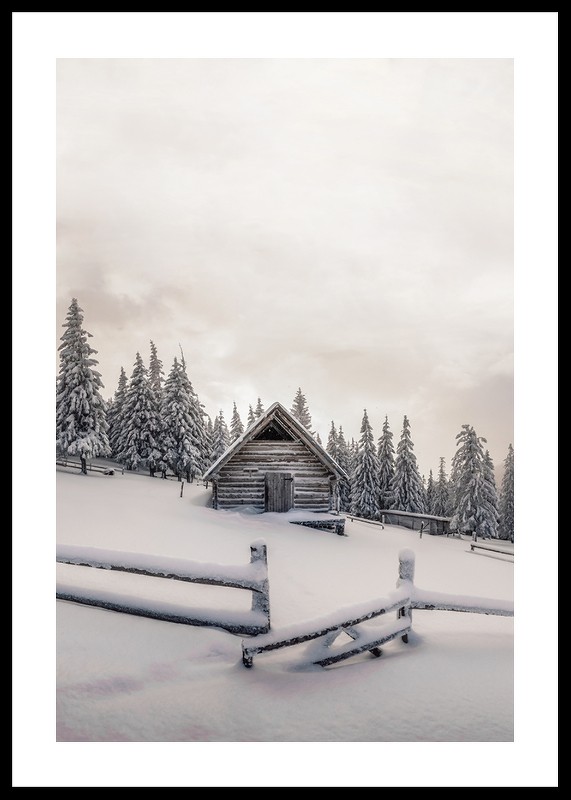 Cabin In Snow-0
