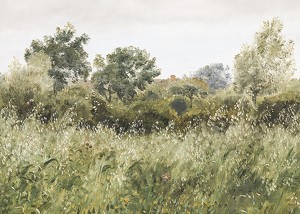 Field of Oats Near Vejby By P. C. Skovgaard-3