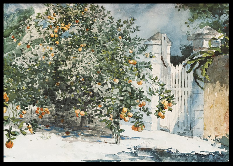 Orange Trees And Gate By Winslow Homer-2