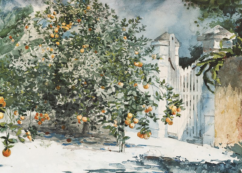 Orange Trees And Gate By Winslow Homer-3