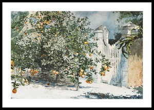 Orange Trees And Gate By Winslow Homer-0