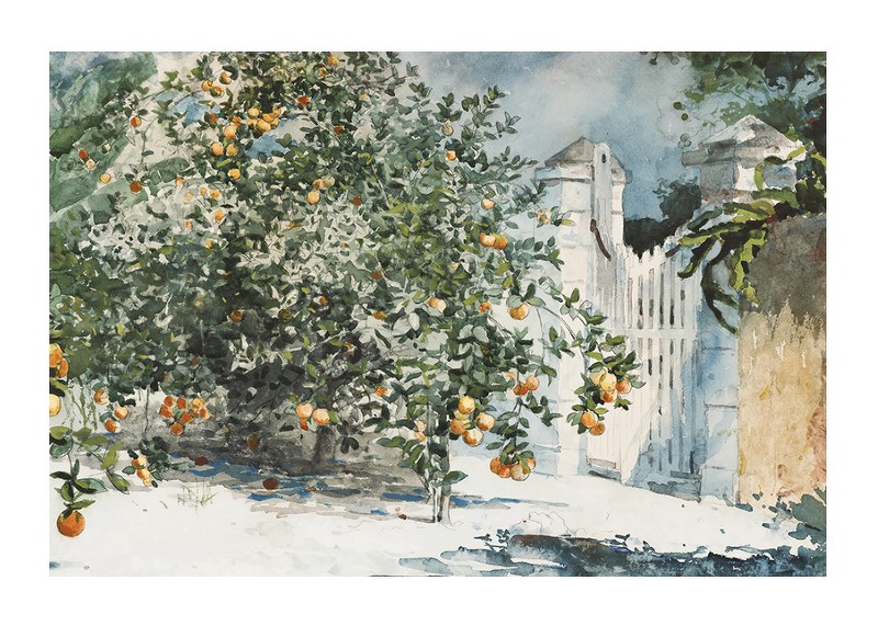 Orange Trees And Gate By Winslow Homer-1