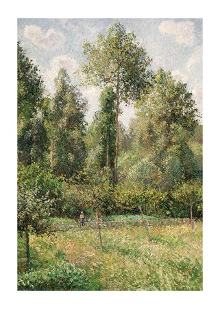 Poster Poplars Éragny By Camille Pissarro