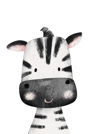 Poster Zebra Portrait