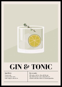 Gin Tonic Cocktail-0