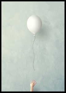 Balloon Fly Free-2