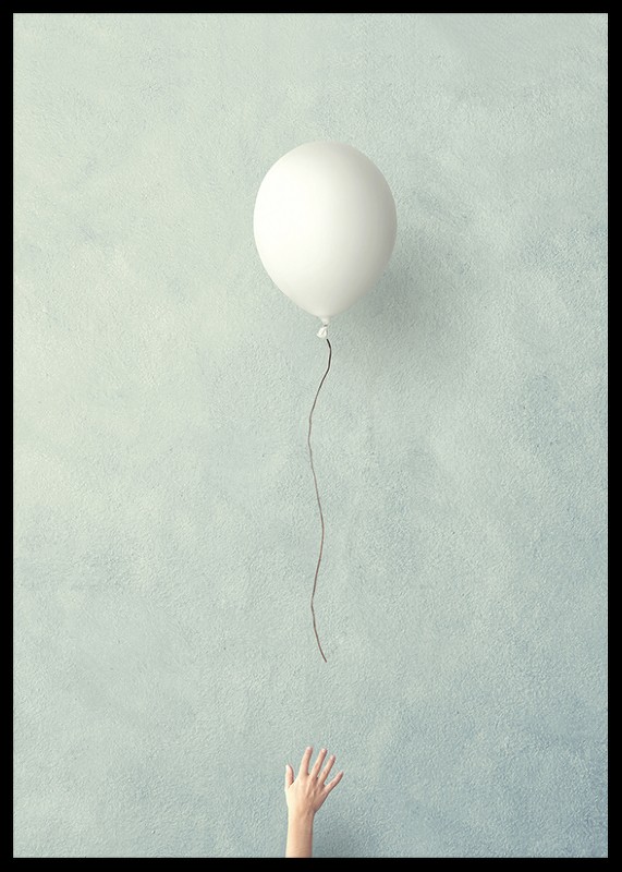 Balloon Fly Free-2
