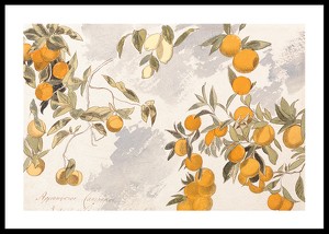 Fruit Trees By Edward Lear-0