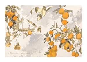 Fruit Trees By Edward Lear-1