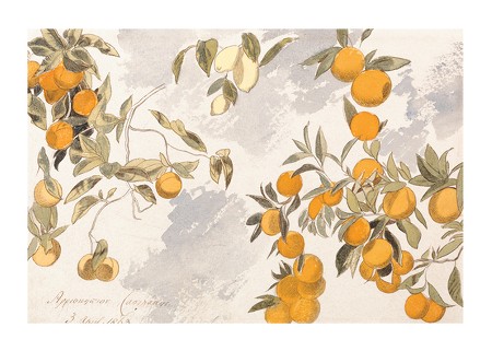 Poster Fruit Trees By Edward Lear