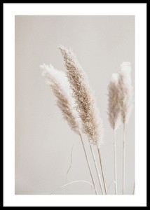 Boho Dried In Nature No6-0
