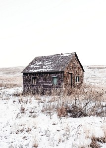Sandhills Cabin In Snow-3