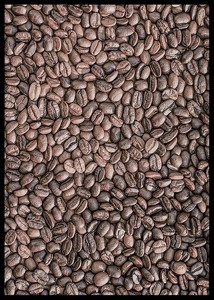 Coffee Beans No4-2
