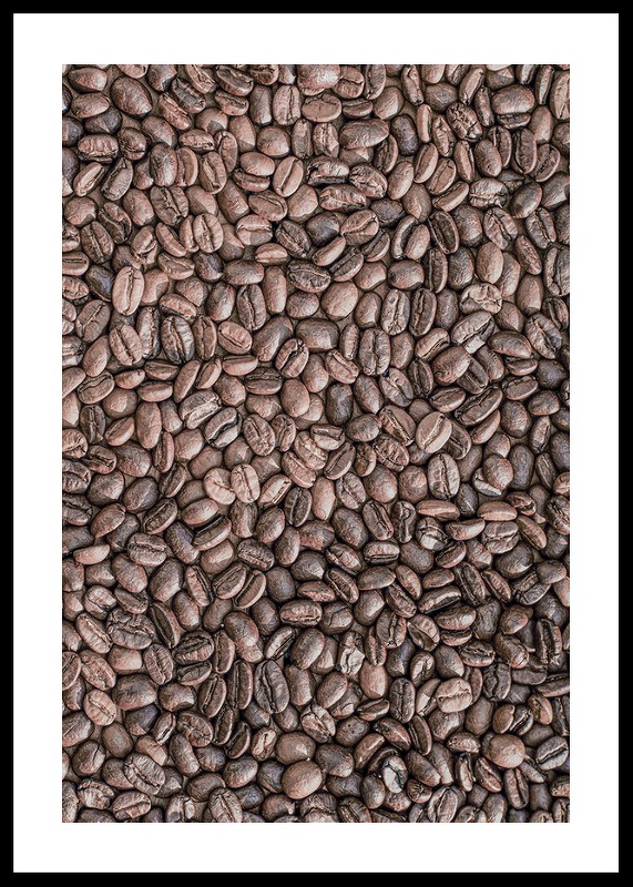 Coffee Beans No4-0