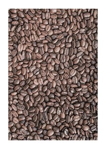 Coffee Beans No4-1
