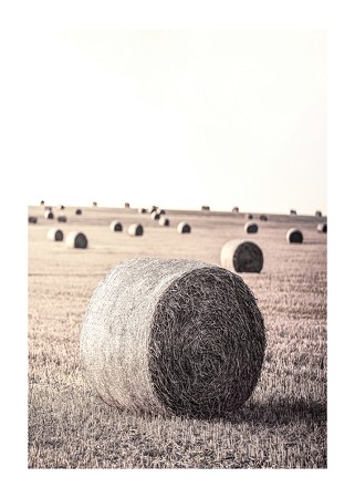 Poster Hay Bale