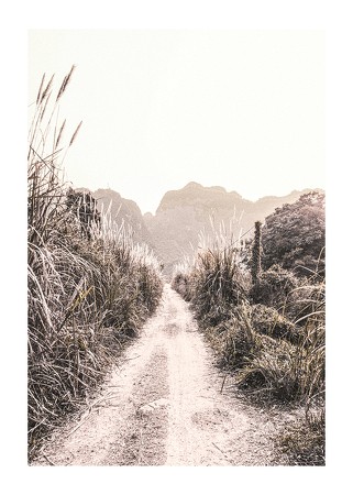 Poster Dirt Road In Grass Fields