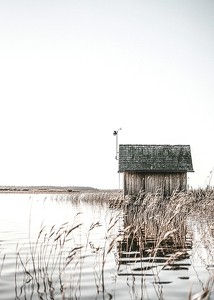 Wooden Cabin By Lake-3