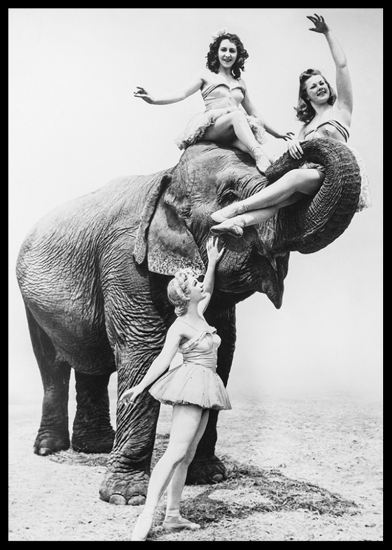 Women Riding Elephant-2