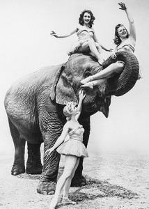 Women Riding Elephant-3