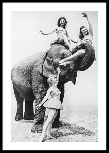 Women Riding Elephant-0