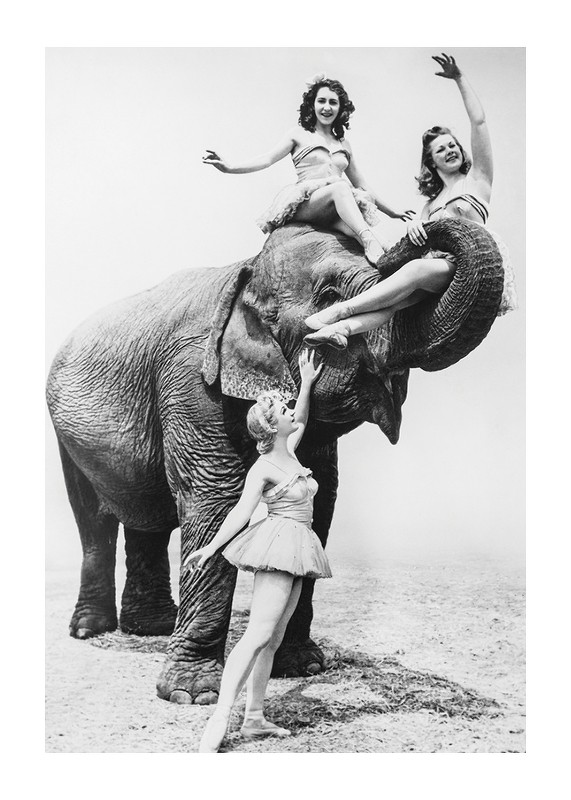Women Riding Elephant-1