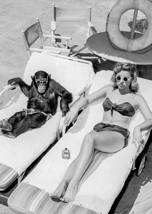 Chimpanzee And Woman B&W-3