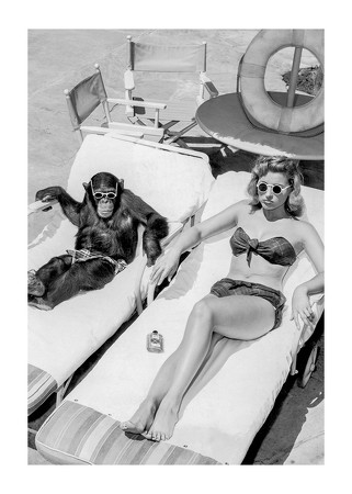 Poster Chimpanzee And Woman B&W
