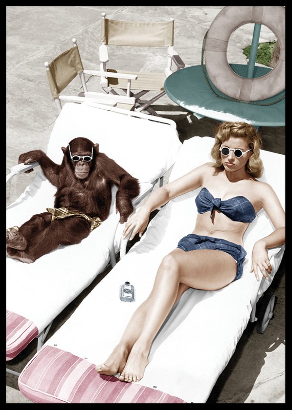 Chimpanzee And Woman-2