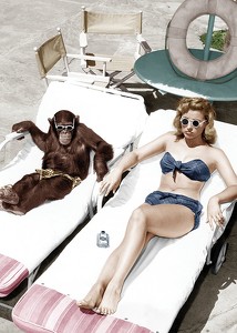 Chimpanzee And Woman-3