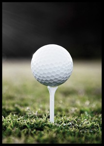 Golf Ball On Tee-2