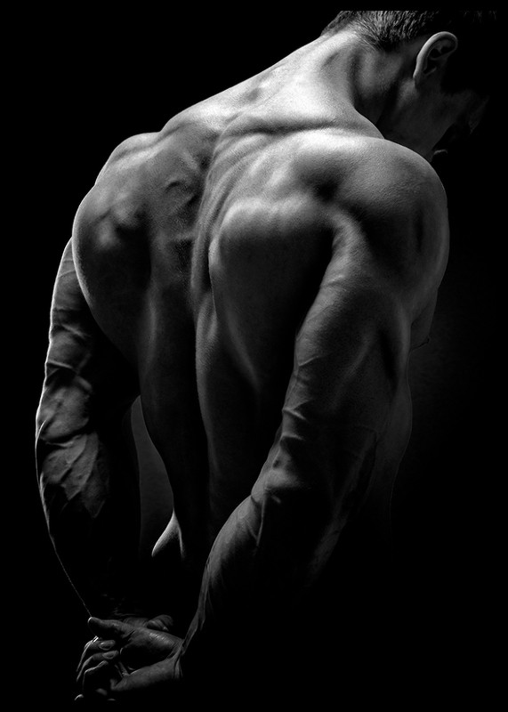 Back Muscles Fitness-2