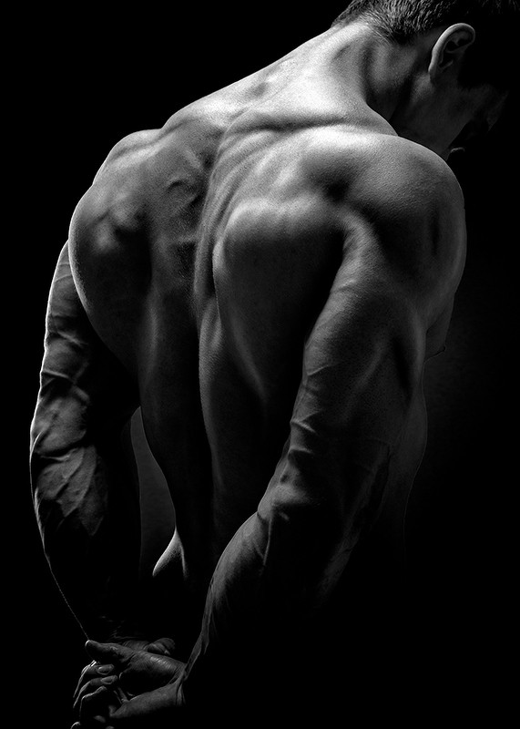 Back Muscles Fitness-3