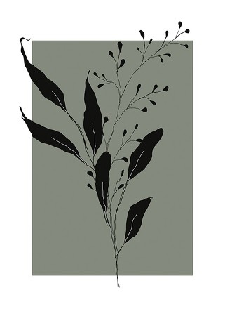 Poster Botanical Sketch No1
