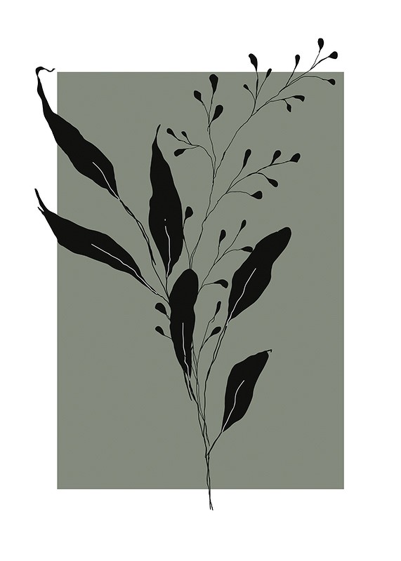 Botanical Sketch No1-1
