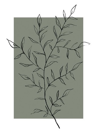 Poster Botanical Sketch No2